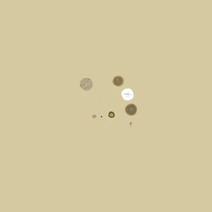 Map of A Rust Server
